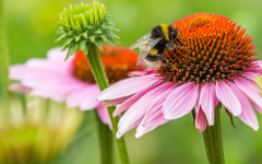 He is with us in Everything